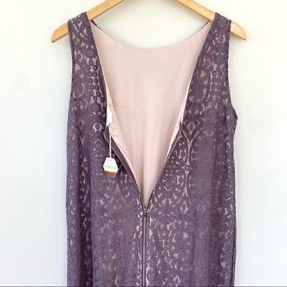 Pinkblush lace midi  dress with crew neck and v-back - Picture 6 of 11